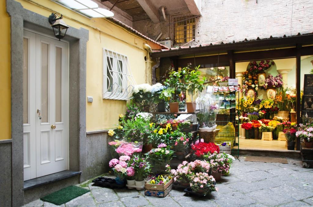 Casa Tonia San Cesareo Apartment Sorrento Ruang foto